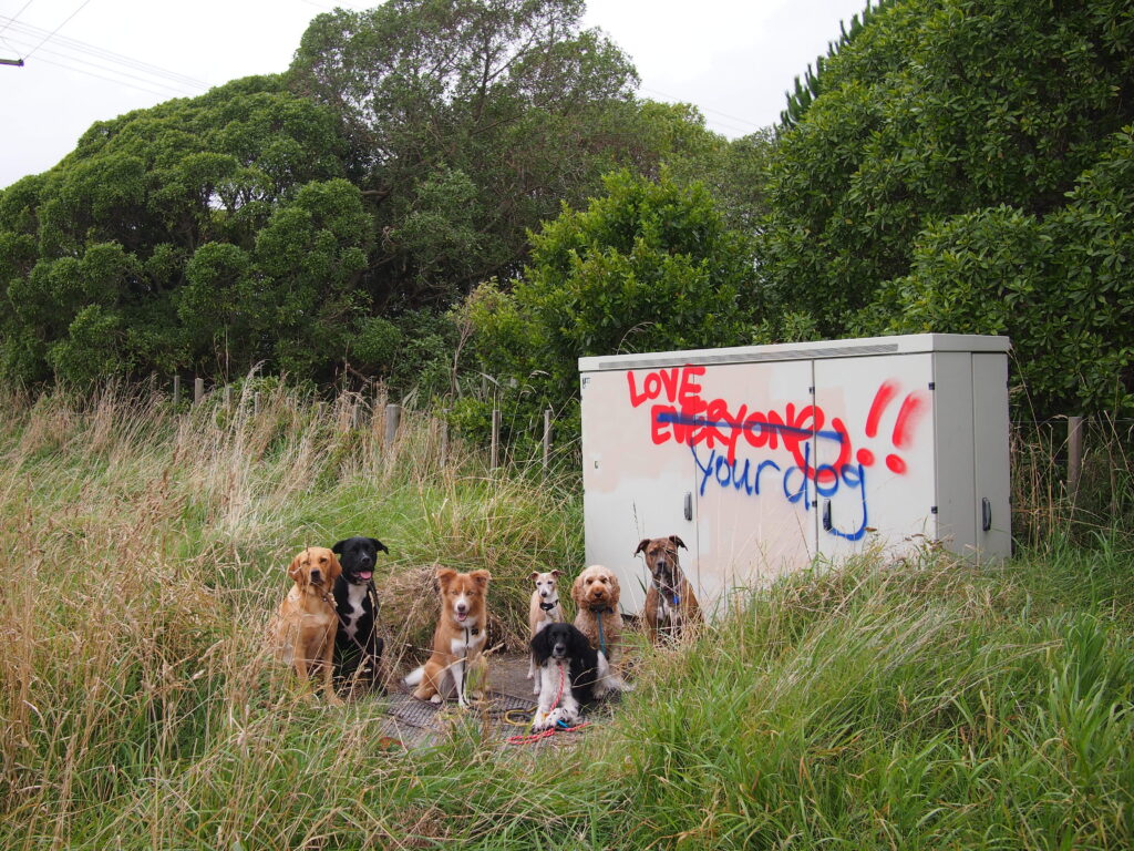Pack of dogs in front of graffiti that says "Love your Dog"